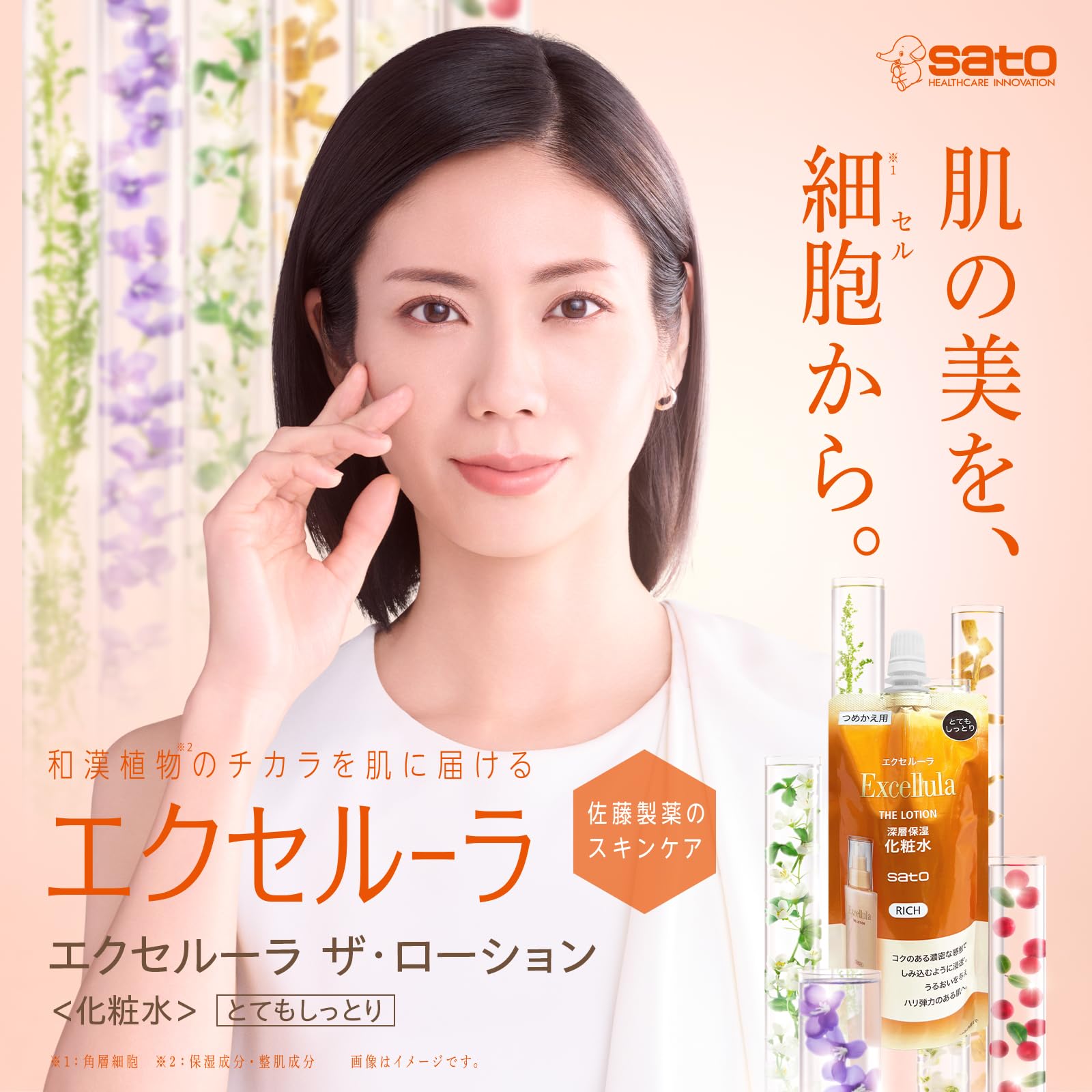 Amazon.co.jp: エクセルーラ