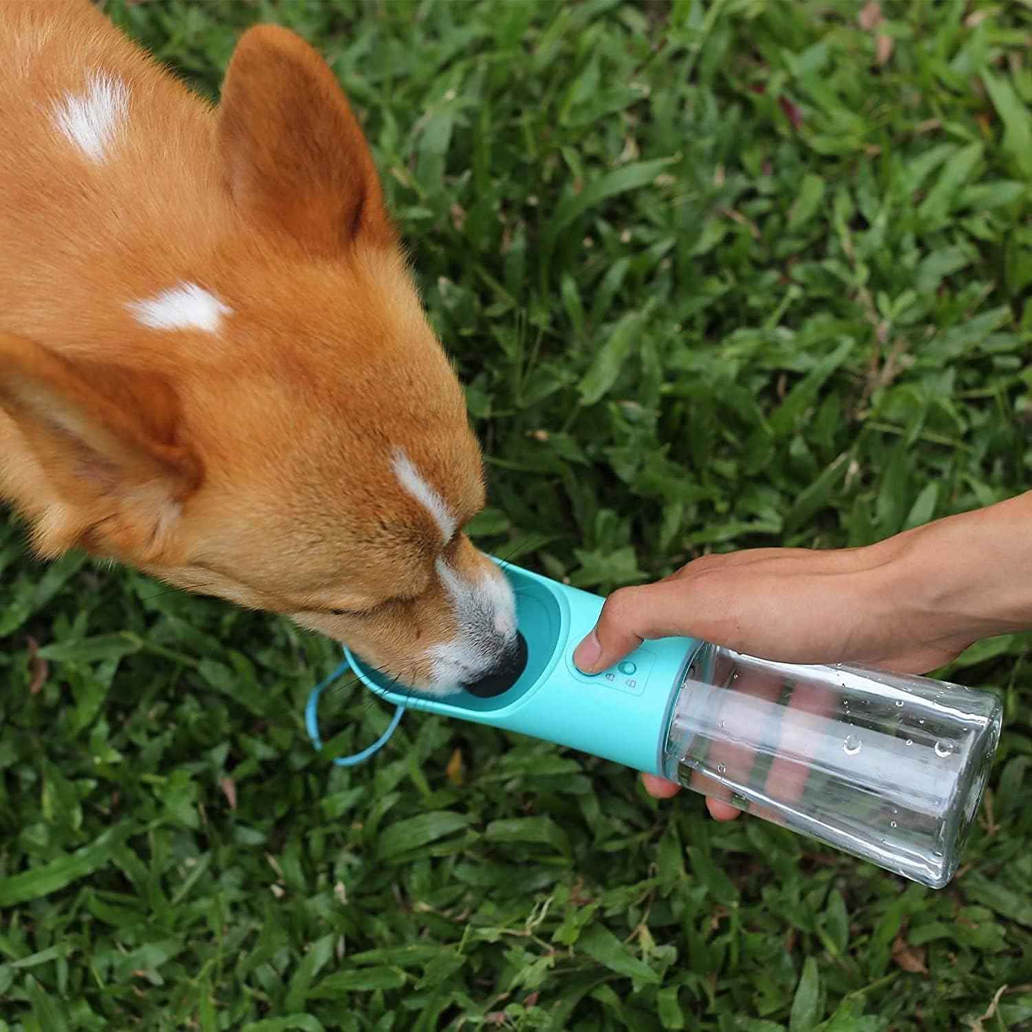 Pet Water Bottle, Water Cup, Leak Proof Portable Dog, Puppy Water Dispenser - Image 3