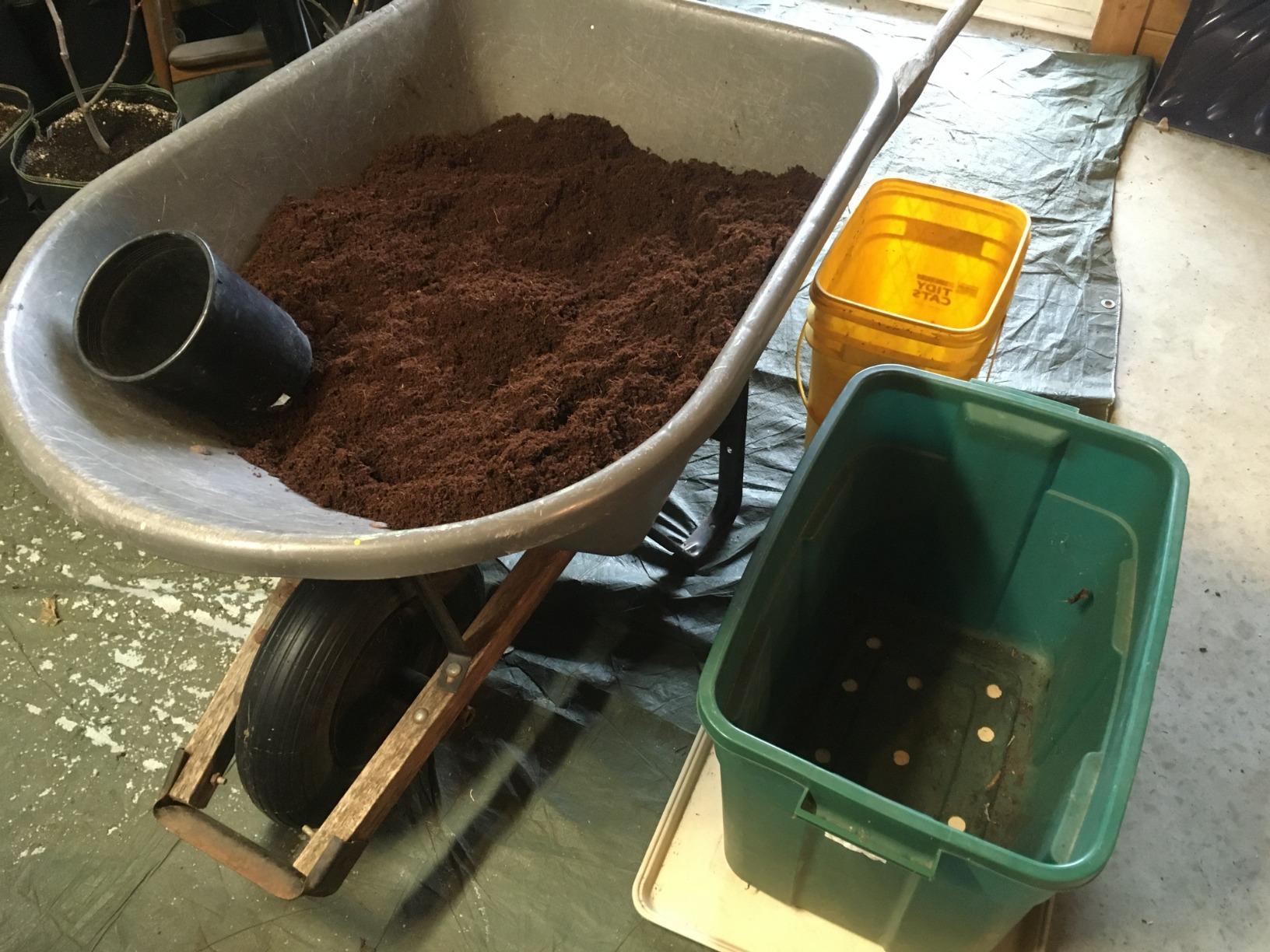 STARTING:  How Much Water to Begin