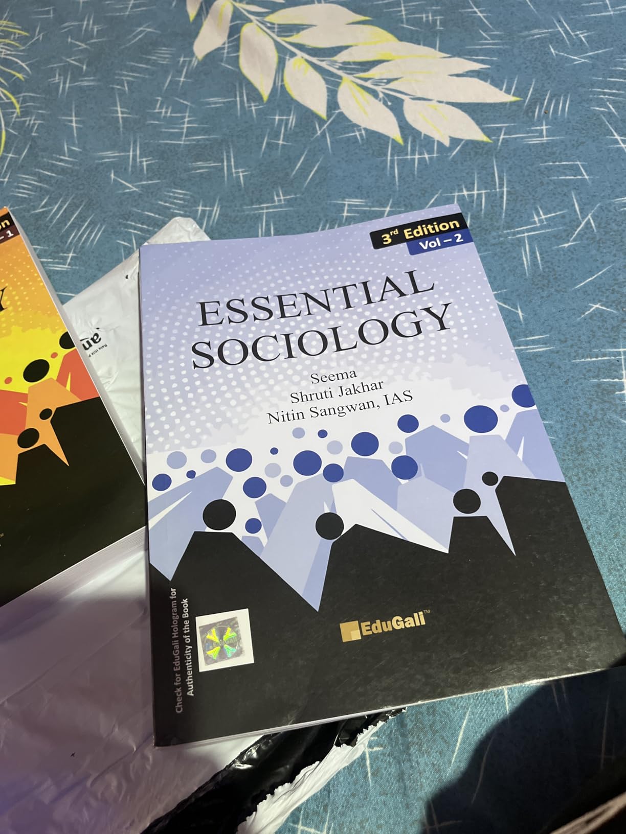 Essential Sociology Textbook