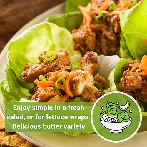 Miniatura 5 de Sow Right Seeds - Semilla de lechuga Buttercrunch para plantar - Paquete de reliquia sin OMG con instrucciones para plantar un jardín de verduras en