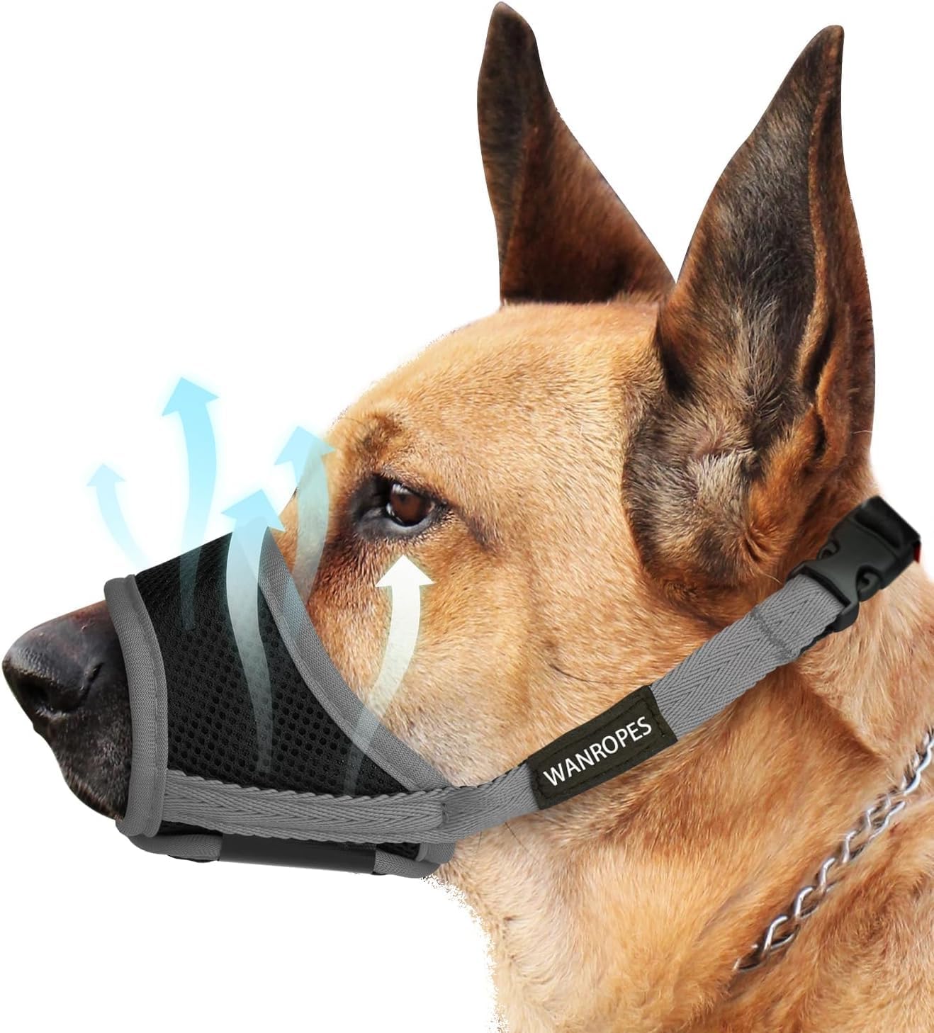 Bozal Per Cani HUNTER Seguimi - In Nylon, Taglia L/3, Nero - Foto 8