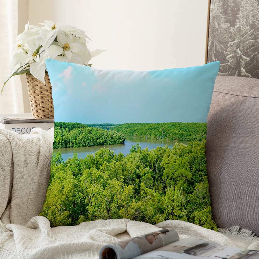 Throw Pillow Covers Sunlight Mangrove Forest Beautiful Can Gio Foliage Natural Vietnam Stability Nature Tropical Relax Decorative Throw Pillow Case Cushion Case for Room Bedroom 18x18 Inch