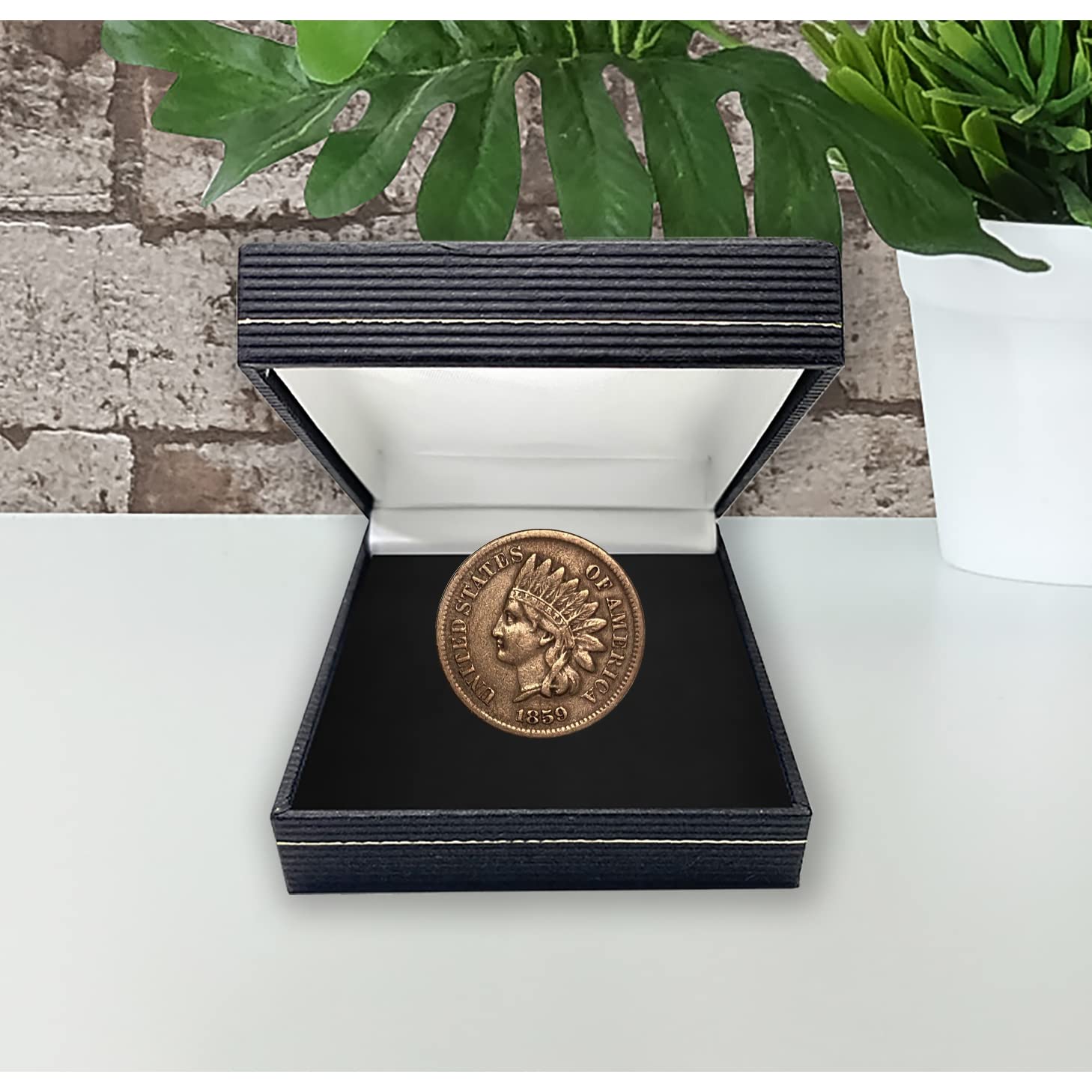 Amazon.com: American Coin Treasures First Year of Issue