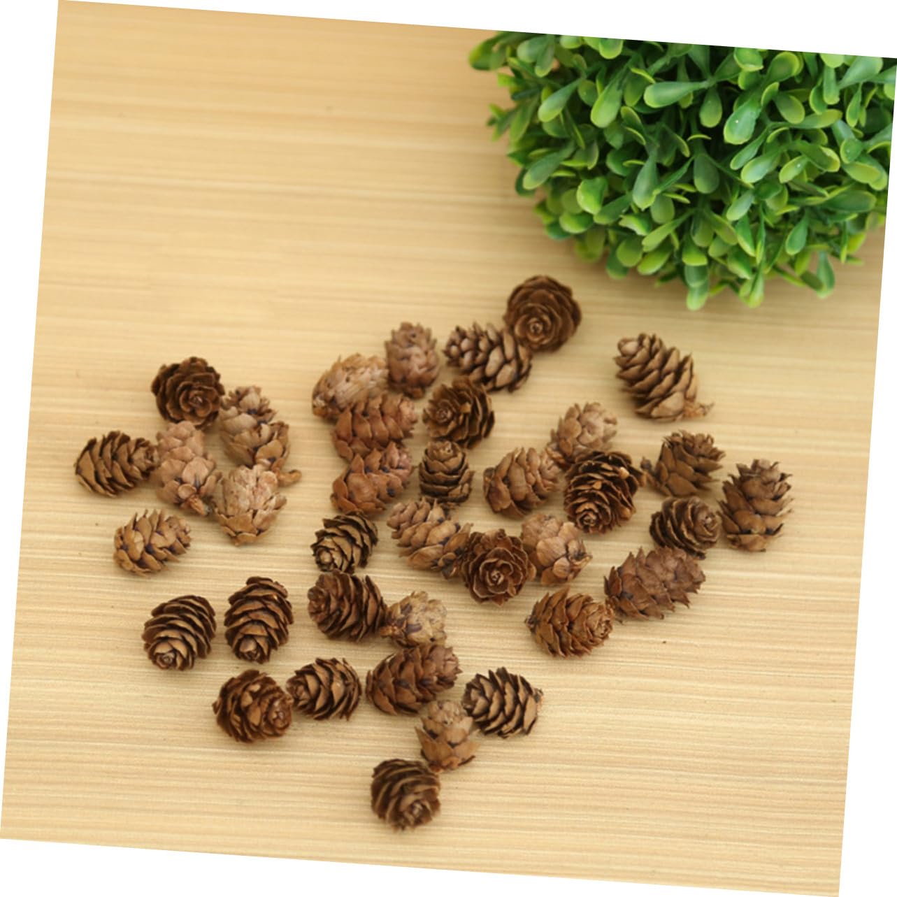 210 Piezas Mini Piñas Naturales Decoración Rústica para Navidad y Acción de Gracias Vegetal Dried Pine para Hogar