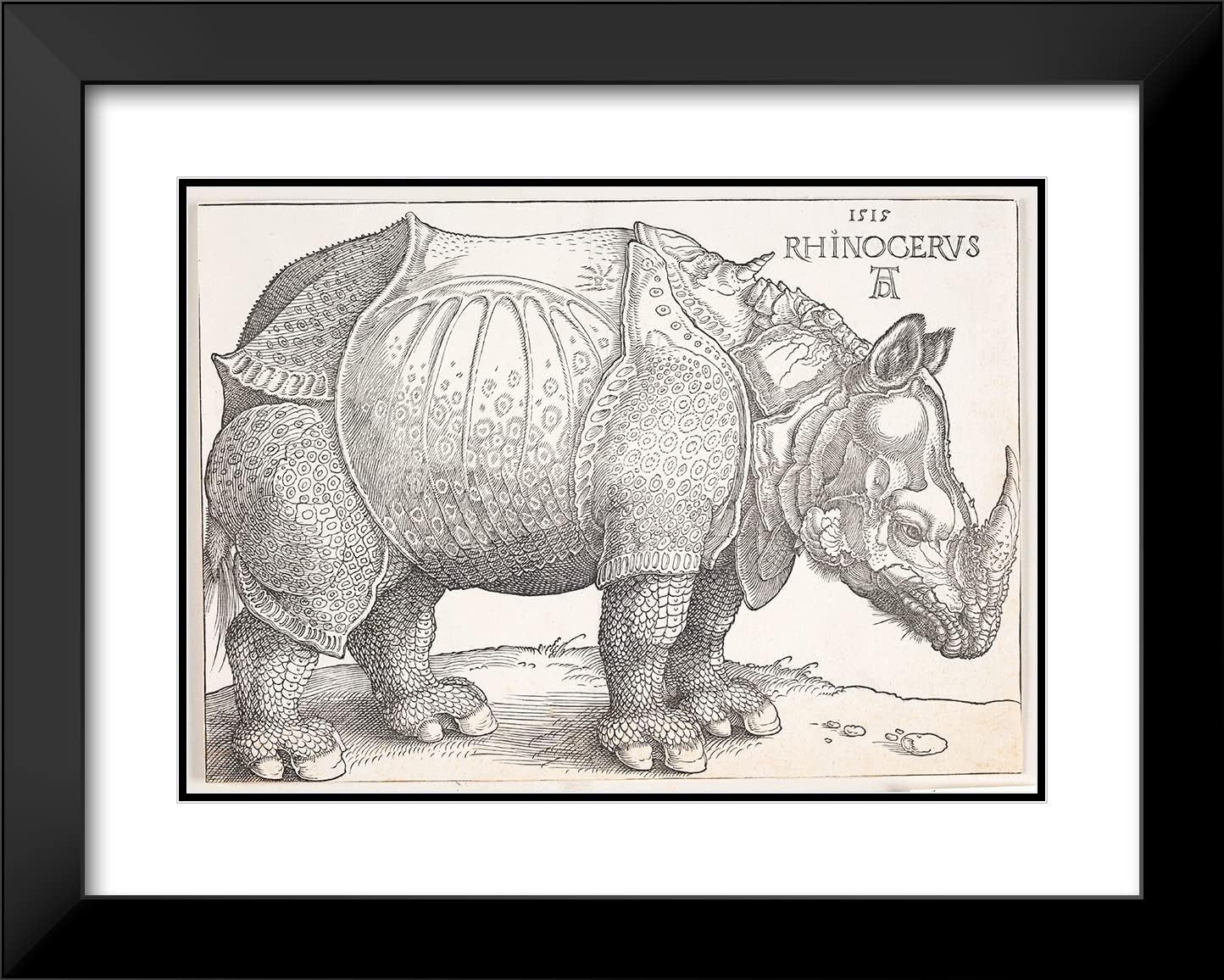 ArtDirect Albrecht Dürer 24x18 Black Modern Frame and Double Matted Museum Art Print Titled - The Rhinoceros (1515)