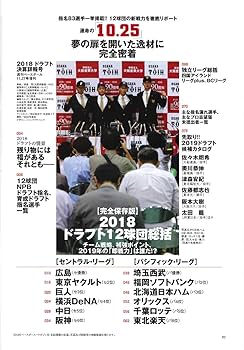 2018年ドラフト決算詳細号 2018年ドラフト決算詳細号