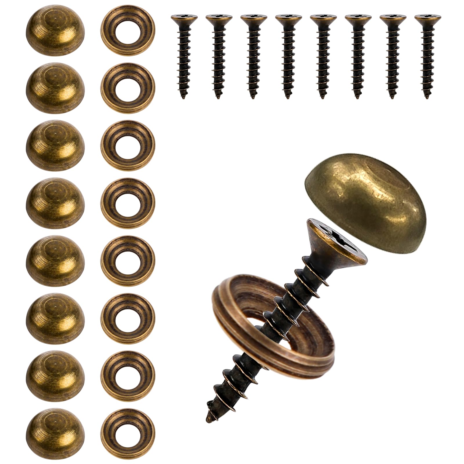 8Pcs Brass Decorative Screws with Caps