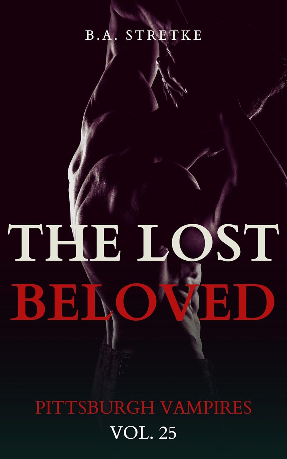 The Lost Beloved Pittsburgh Vampires Vol. 25 eBook Stretke, B.A