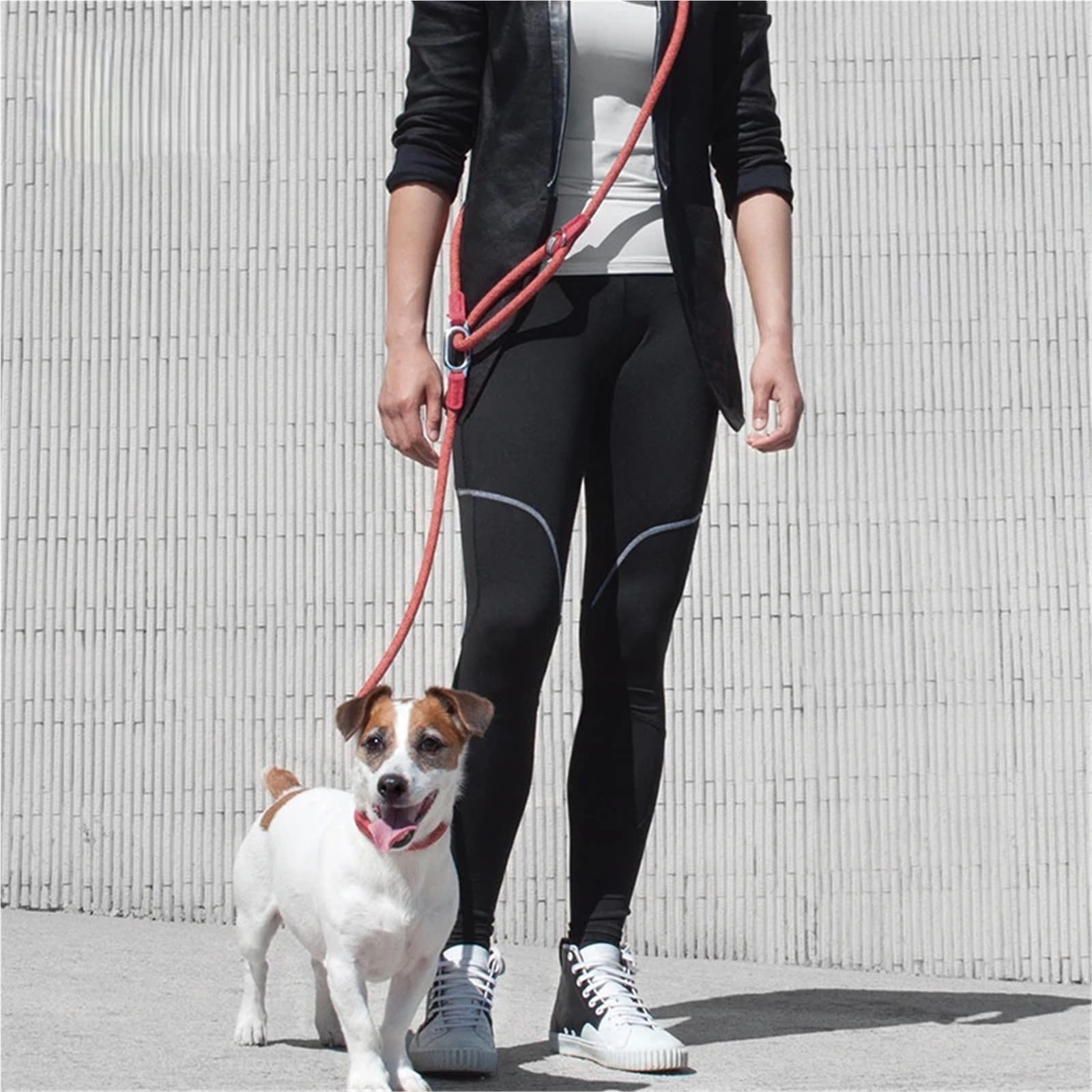 Correa Perro para Correr Cadena de tracción de Nailon for Perros pequeños y Grandes.(Black)