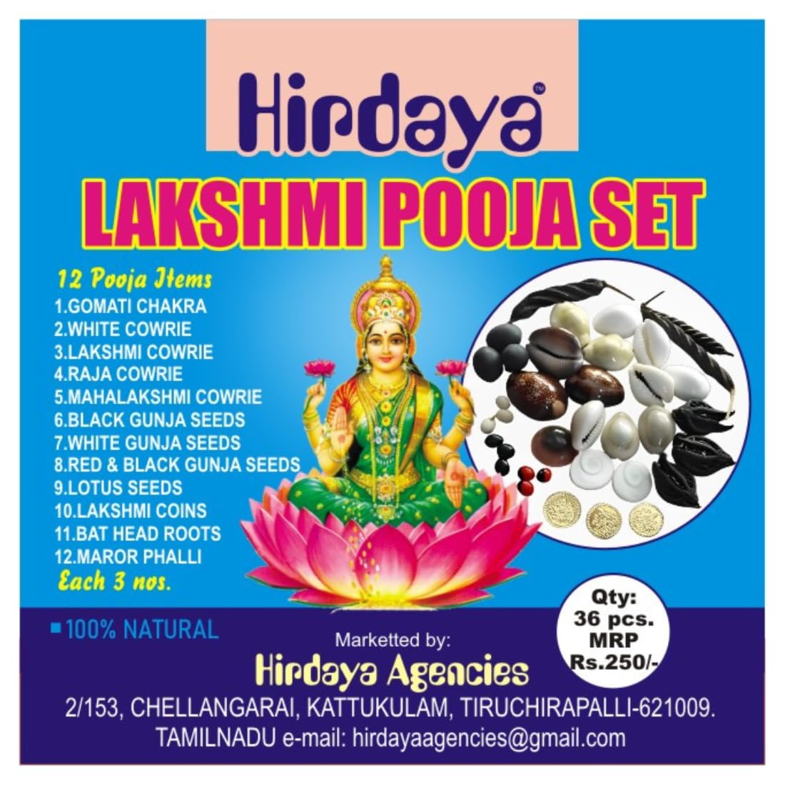 Lakshmi Pooja Set/Laxmi Pooja Kit/Laxmi Pooja Items/Laxmi Puja Samagri with Box Packing-image-32
