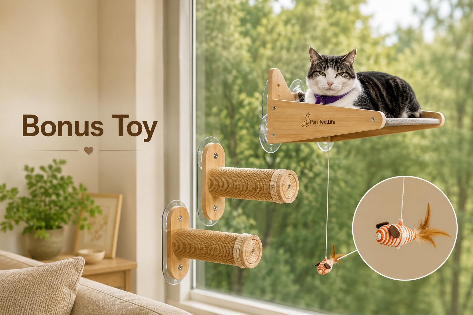 Hamaca para gatos para ventana y pared (2 en 1) - Percha de madera de color sólido y natural con 2 escalones - Hamaca 100% algodón - No necesita herramientas - Gratis: juguete para gatos