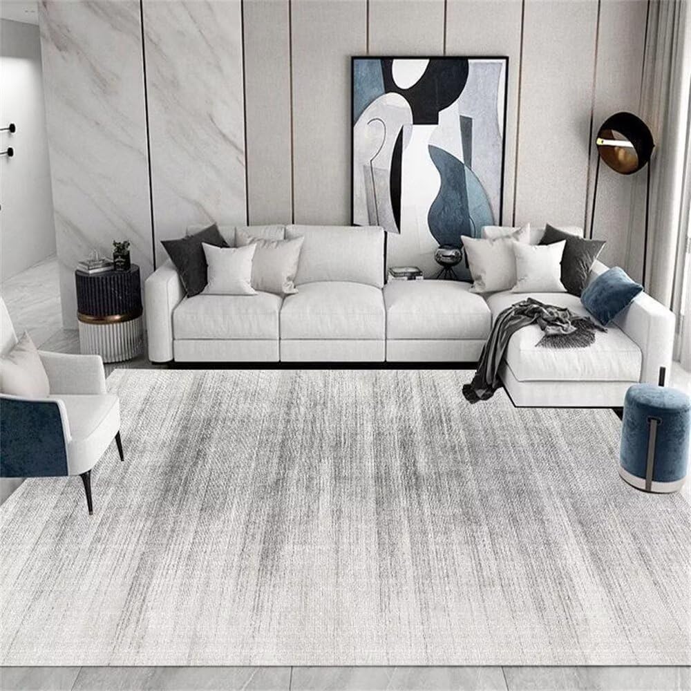 Tapis aesthetic salon gris minimaliste pour creer une ambiance cosy et chaleureuse