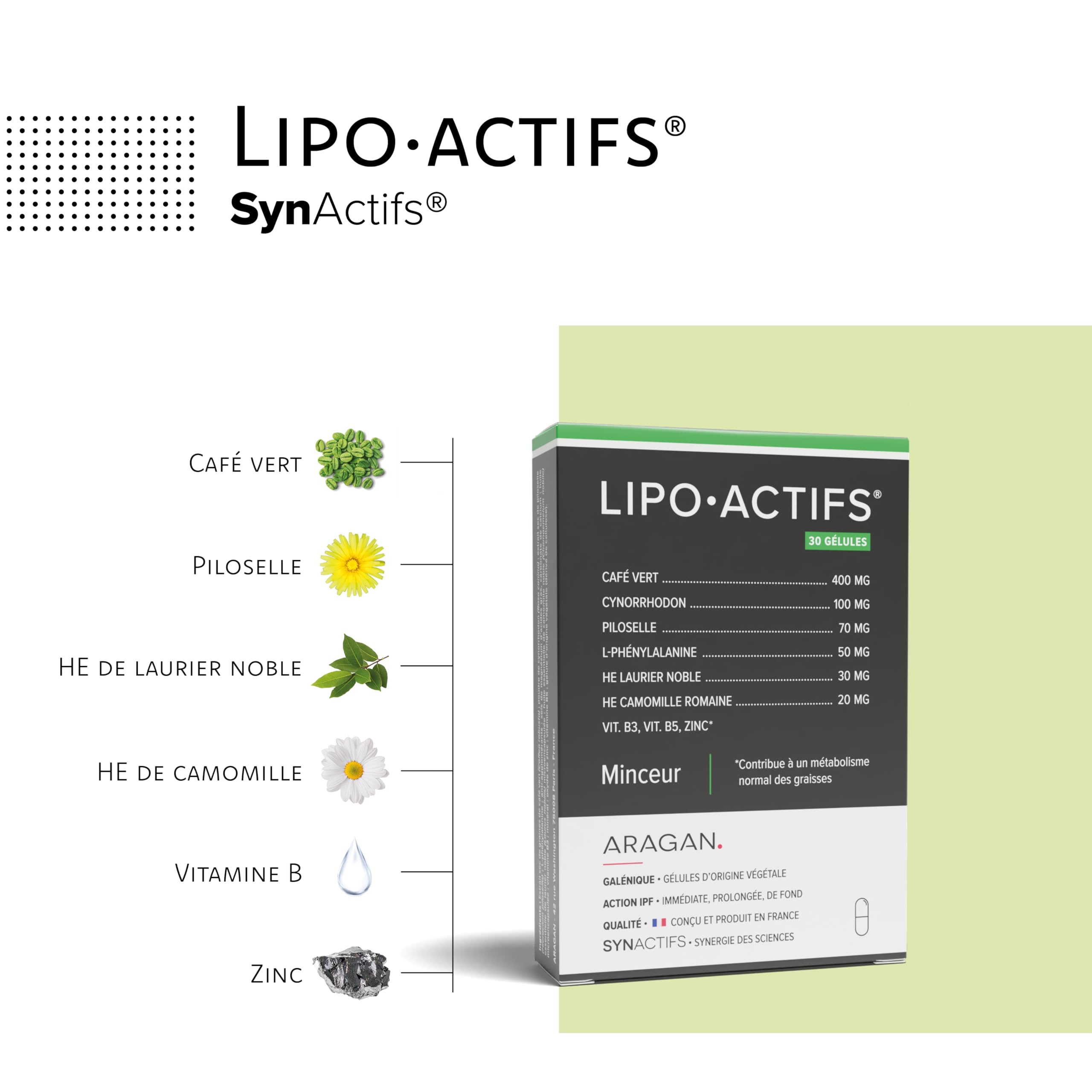 Lipoactifs - Complement Alimentaire Brule Graisse, Draineur - Café Vert, Piloselle, Huiles Essentielles, Vitamines B, Zinc - Aragan - 30 Jours