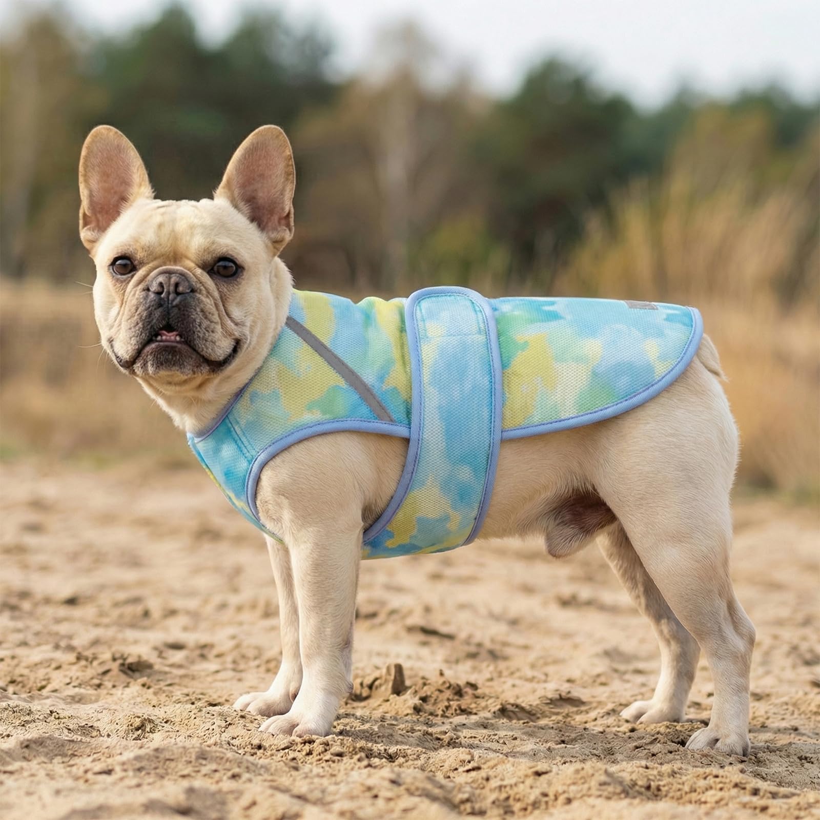 KYEESE Kühlweste für Hunde, leicht, 3D, atmungsaktives Netzgewebe, Kühl-Shirts mit reflektierenden Streifen, UV-Schutz, Hunde-T-Shirt für Strand, Wandern, Spazierengehen (Blau, L)