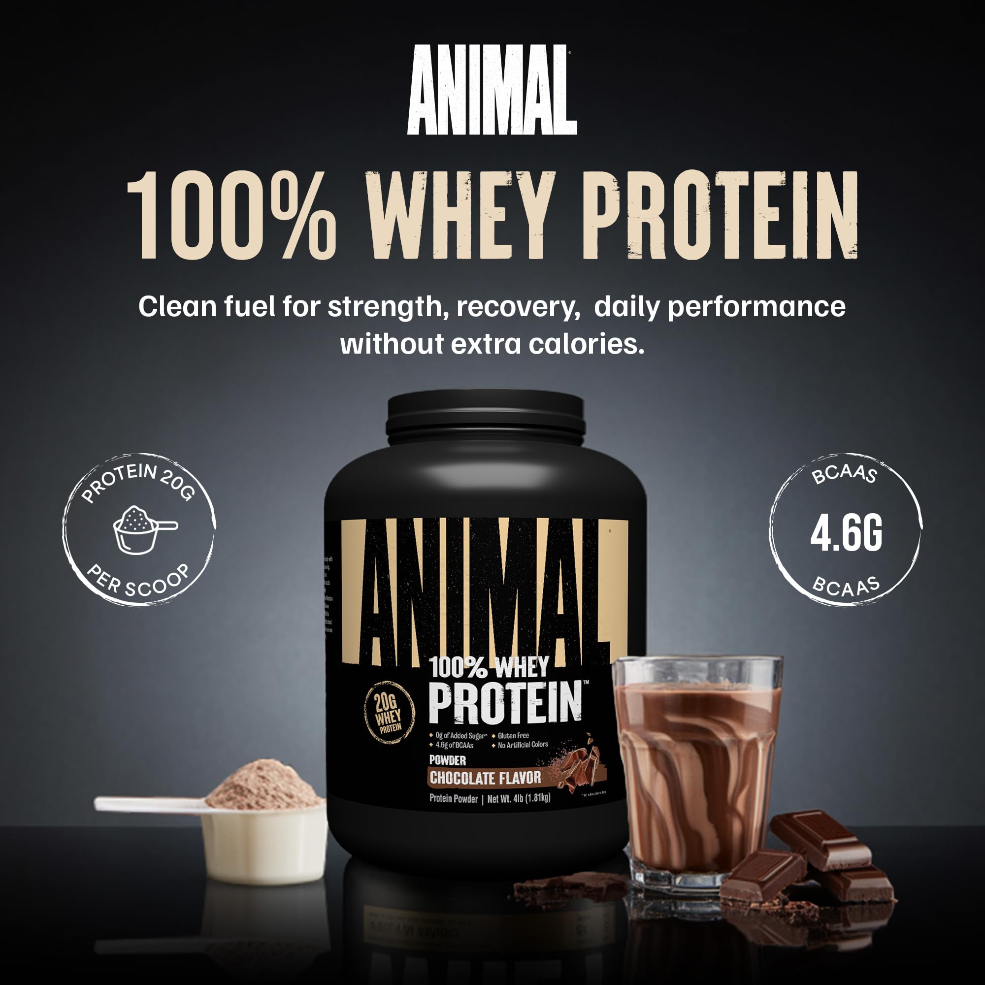 Animal 100% Whey Protein Powder – Whey Blend for Pre Workout or Post Workout, Recovery, or an Anytime Low Sugar Protein Boost Meal Replacement with BCAA Branched Chain Amino Acids – Chocolate, 4 lb