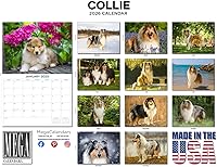 Vista 1509 de Razas de Perros 2017