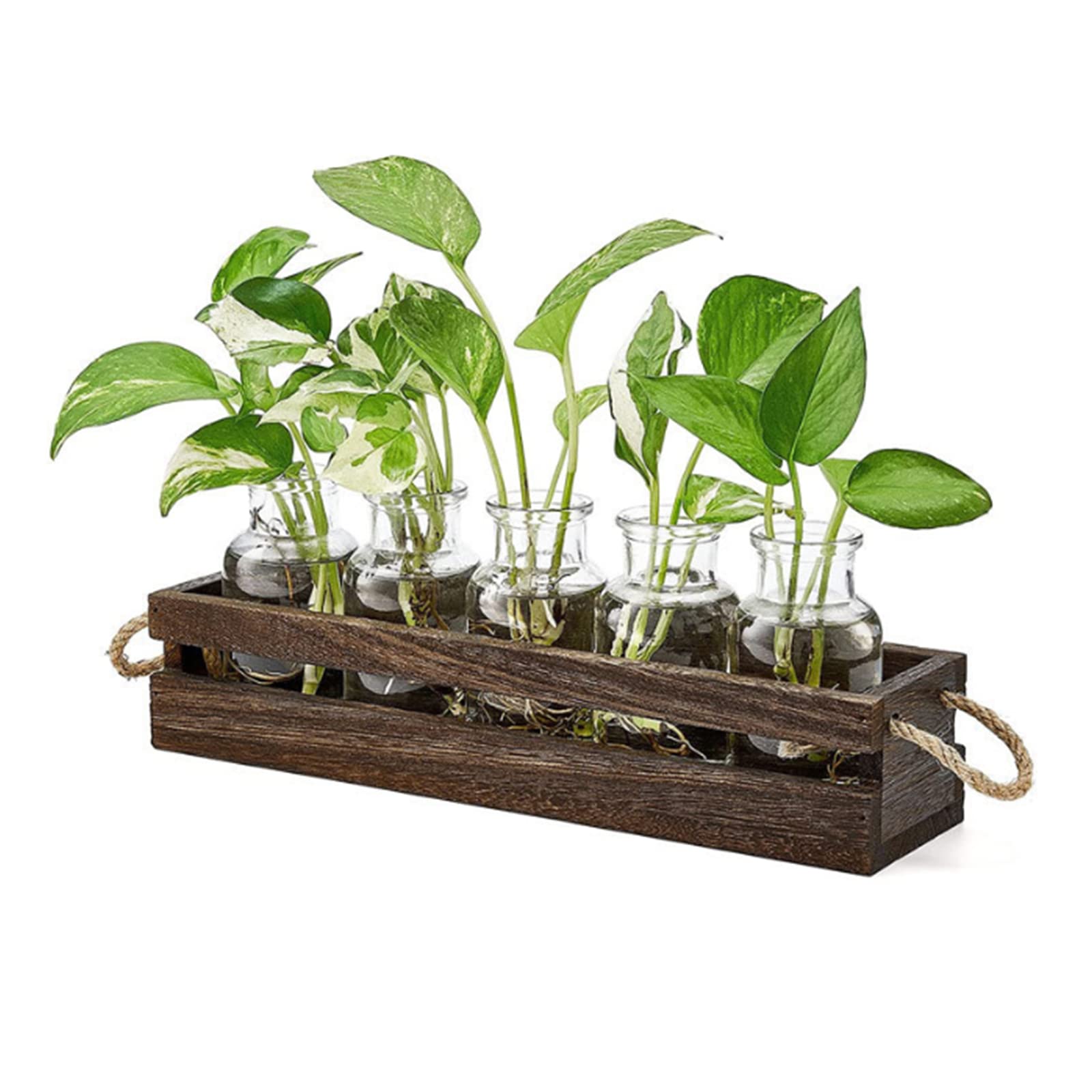 Terrario de plantas retro de doble capa con 5 botellas de vidrio en soporte de madera para amantes de las plantas y decoración del hogar, jarrón hidropónico para plantas de interior