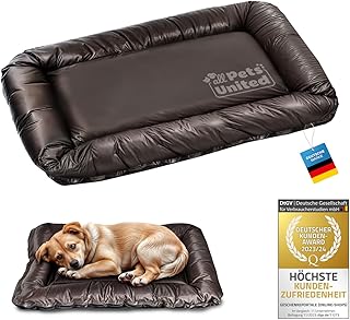 all Pets United® Hundekissen Hundebett Indoor & Outdoor; Hunde-Kissen Hunde-Körbchen; Schlafplatz für Hund & Katzen (S - 60x40 cm)