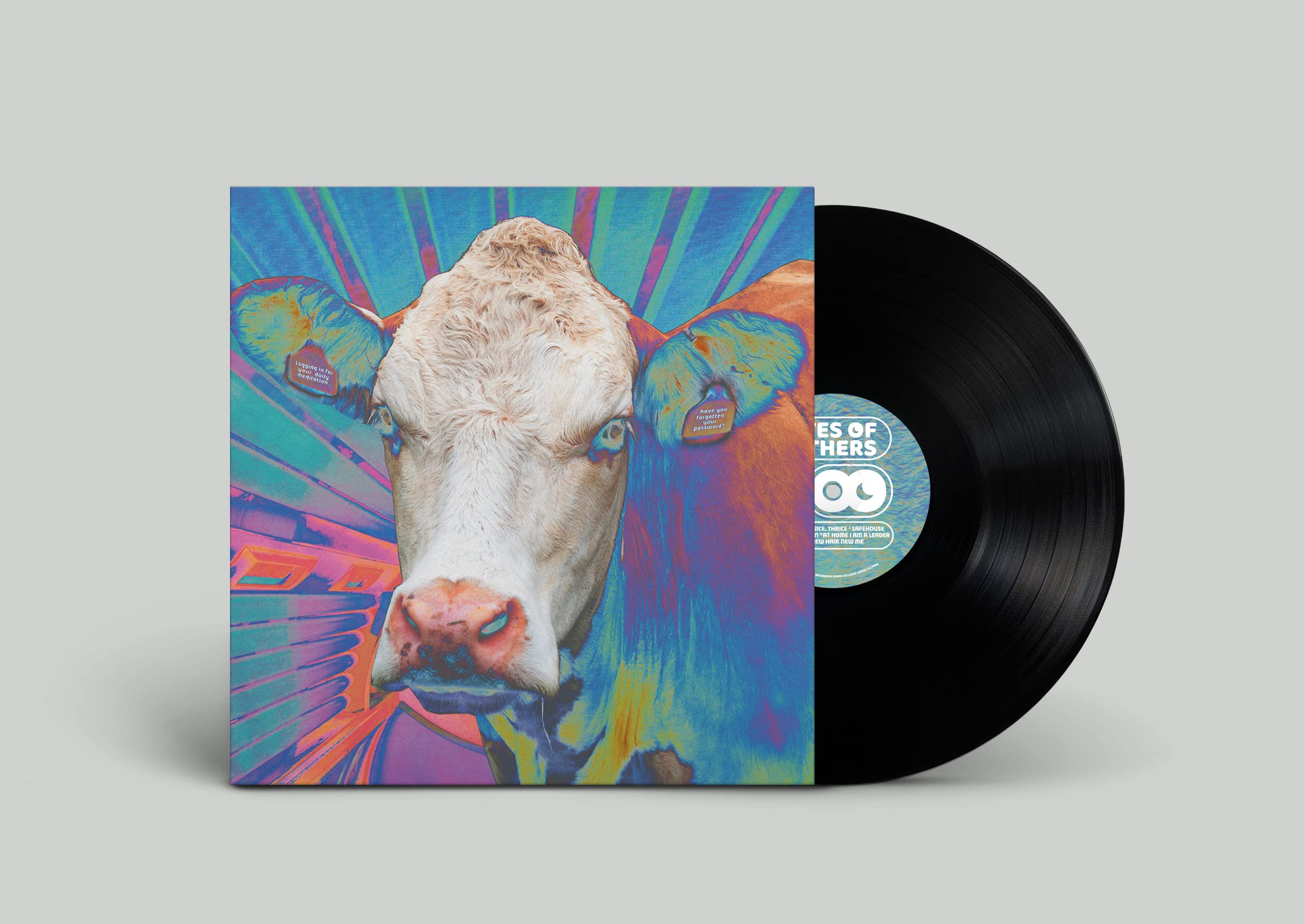 Eyes of Others Eyes of Others LP Vinyl HVNLP210 NEW