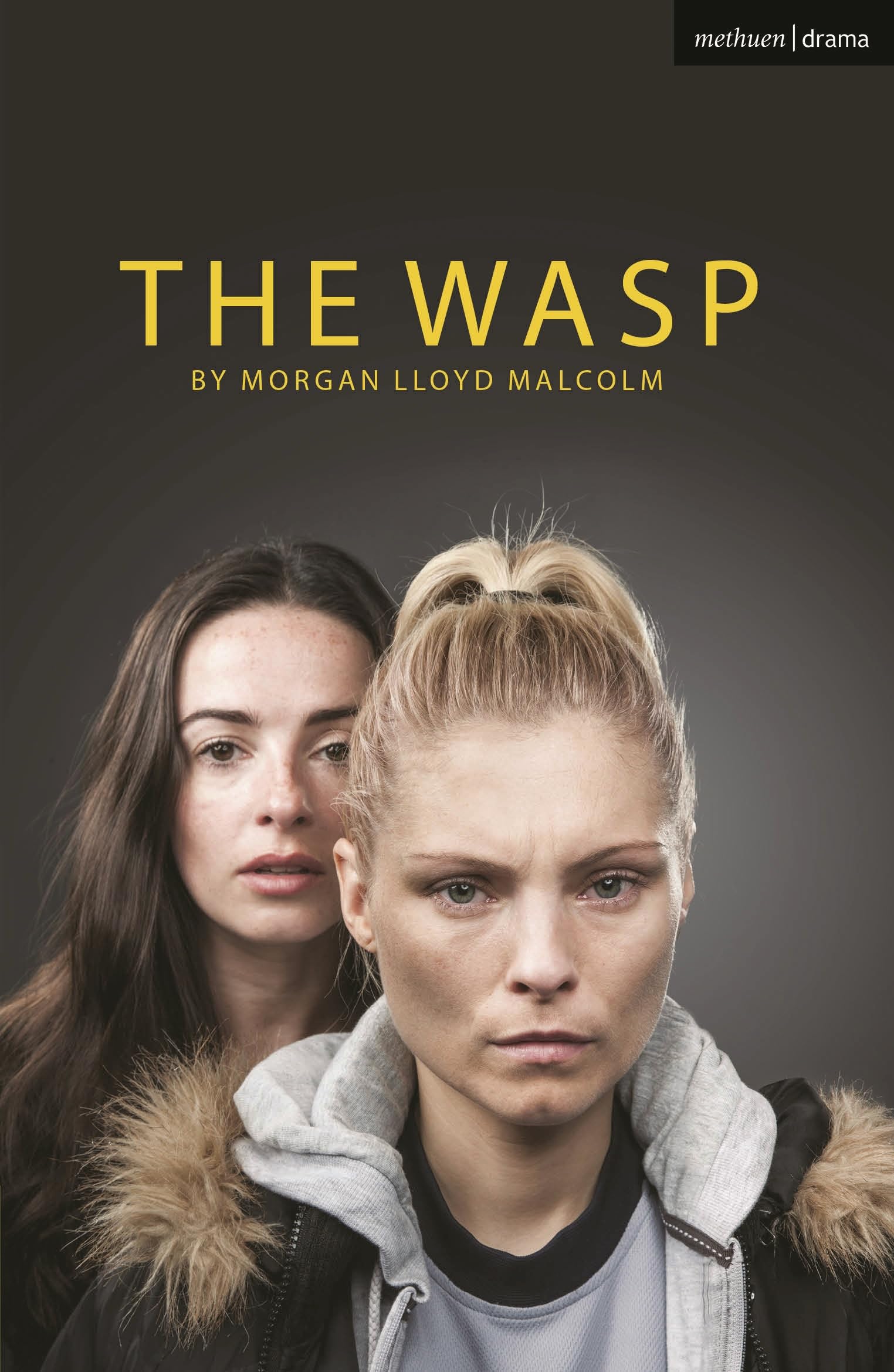 The Wasp (Oberon Modern Plays)