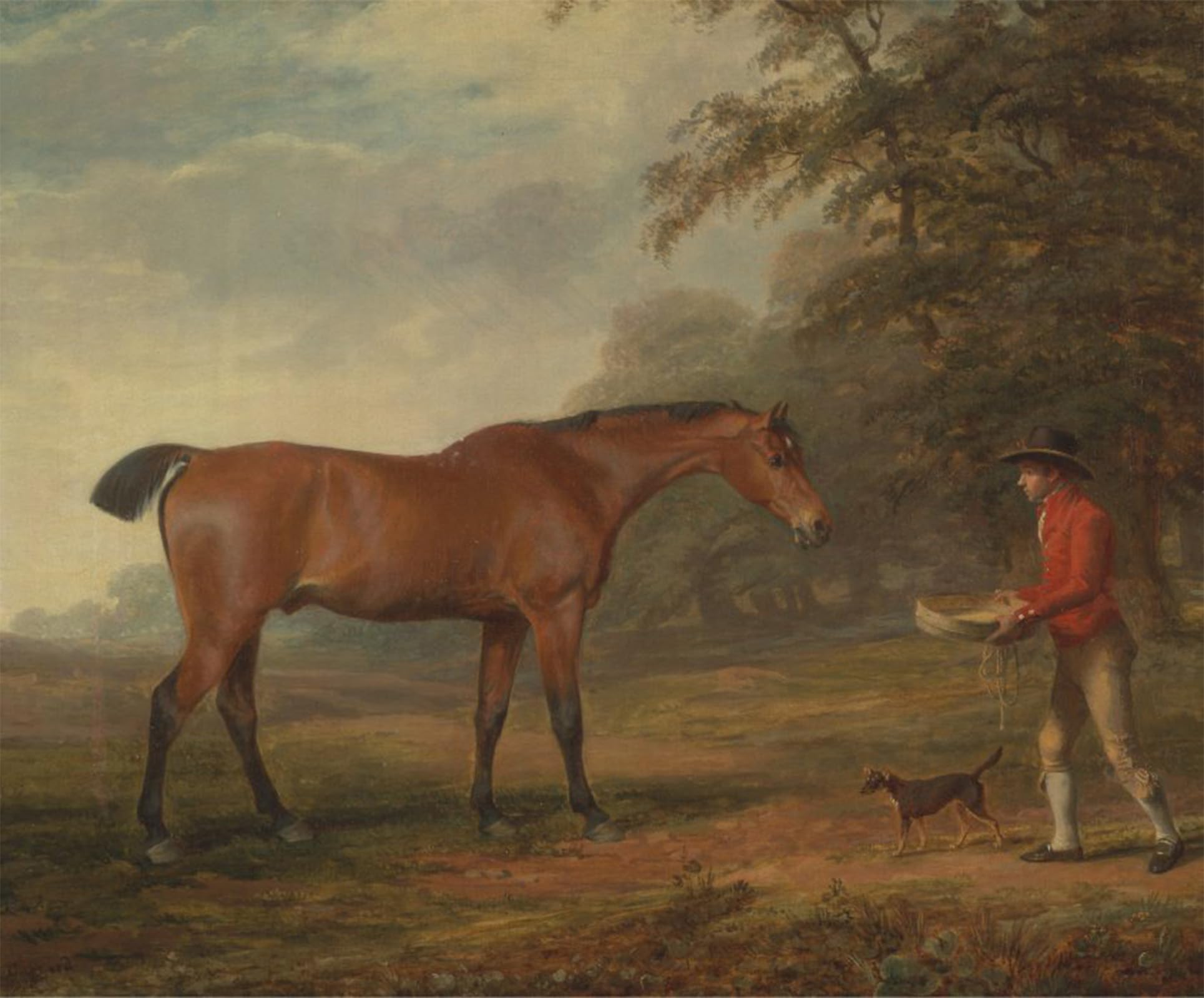 ARTXLXXBN Famous Painting Canvas Artwork Graffiti Print a Bay Horse Approached by George Garrard Portrait Canvas Image for Home Decor 60x90cm