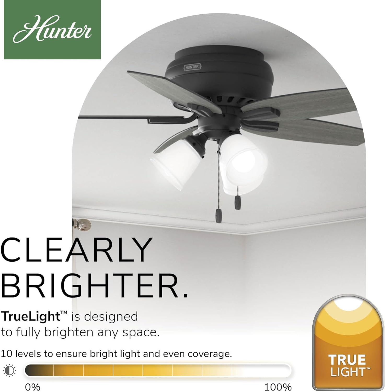 Hunter 42 inch Indoor Ceiling Fan with LED Lights - Black Ceiling Fan with Pull Chain, For Bedroom or Living Room, Low Profile Mount, No Remote, 5 Blades, Includes Bulbs - Newsome 52393, Matte Black
