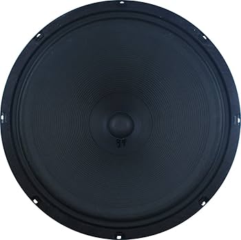 Amazon.com: Jensen Speaker, Green, 15-Inch (P15N8) : Musical