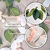 Product Photo 6