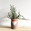 Product Photo 4