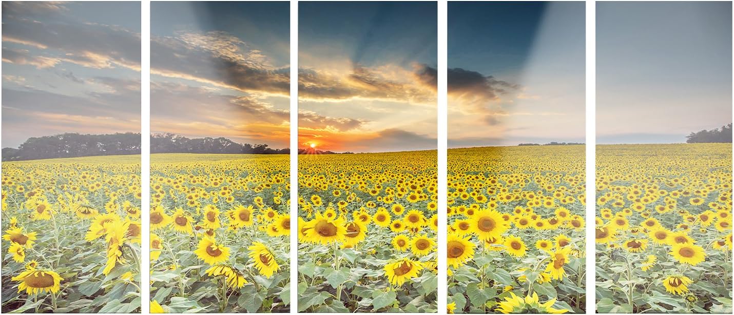 Designart MT14250-401 Sunflower Sunset with Cloudy Sky Landscape Canvas Metal Wall Art, Yellow, 60x28"