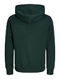 JACK & JONES Jjrush Sweat Hood Sn
