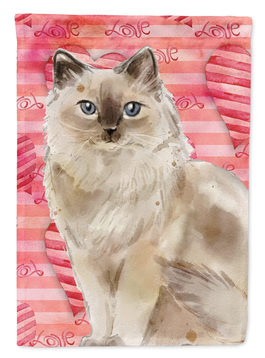 Cadeau pour passionné de chat drapeau Ragdoll Cat Love grand format multicolore