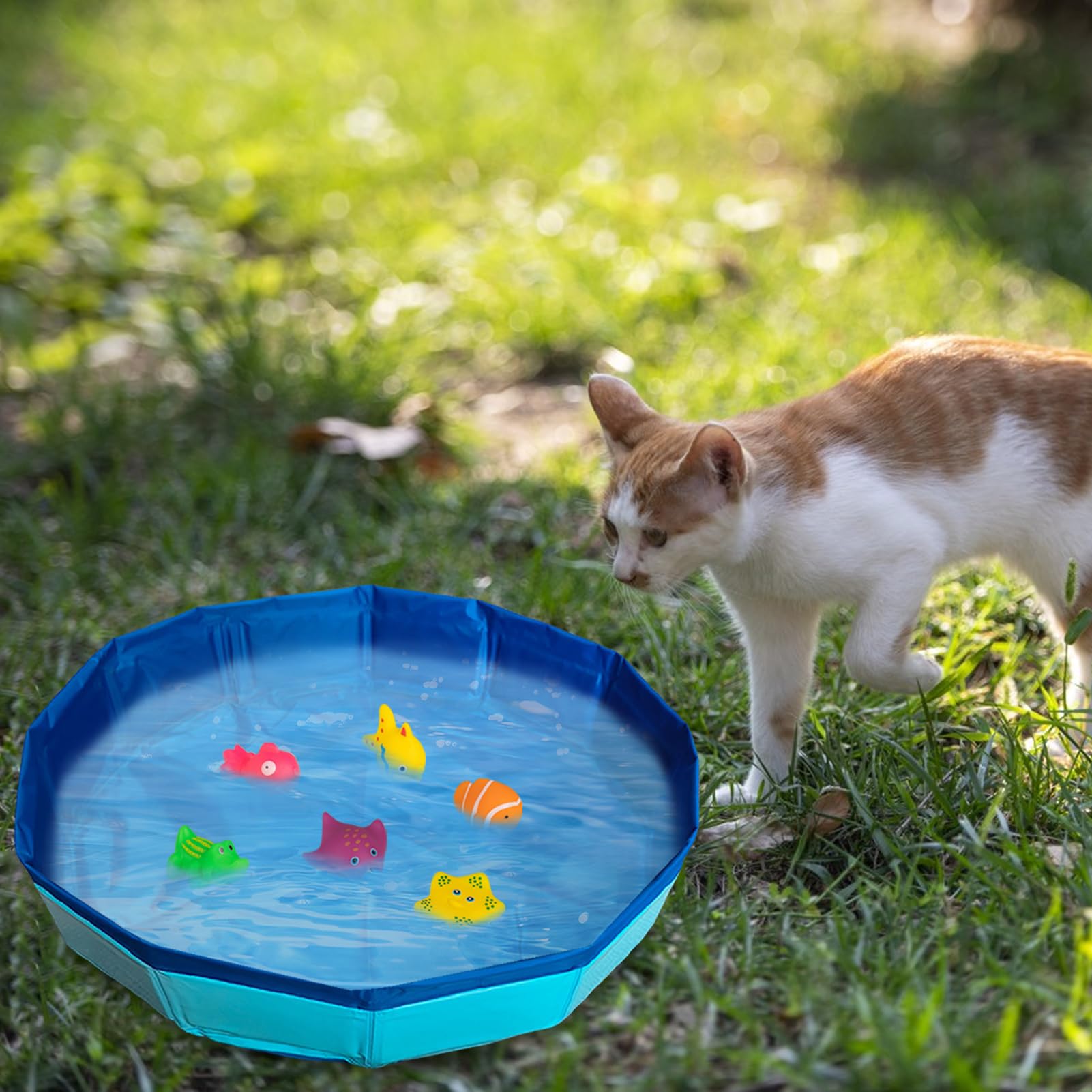 Piscine pour chat - 50 x 10 cm - Pliable - Avec 6 jouets - Mini piscine pour chat et chien - Jouet d'eau - Mini piscine pour l'été (B)