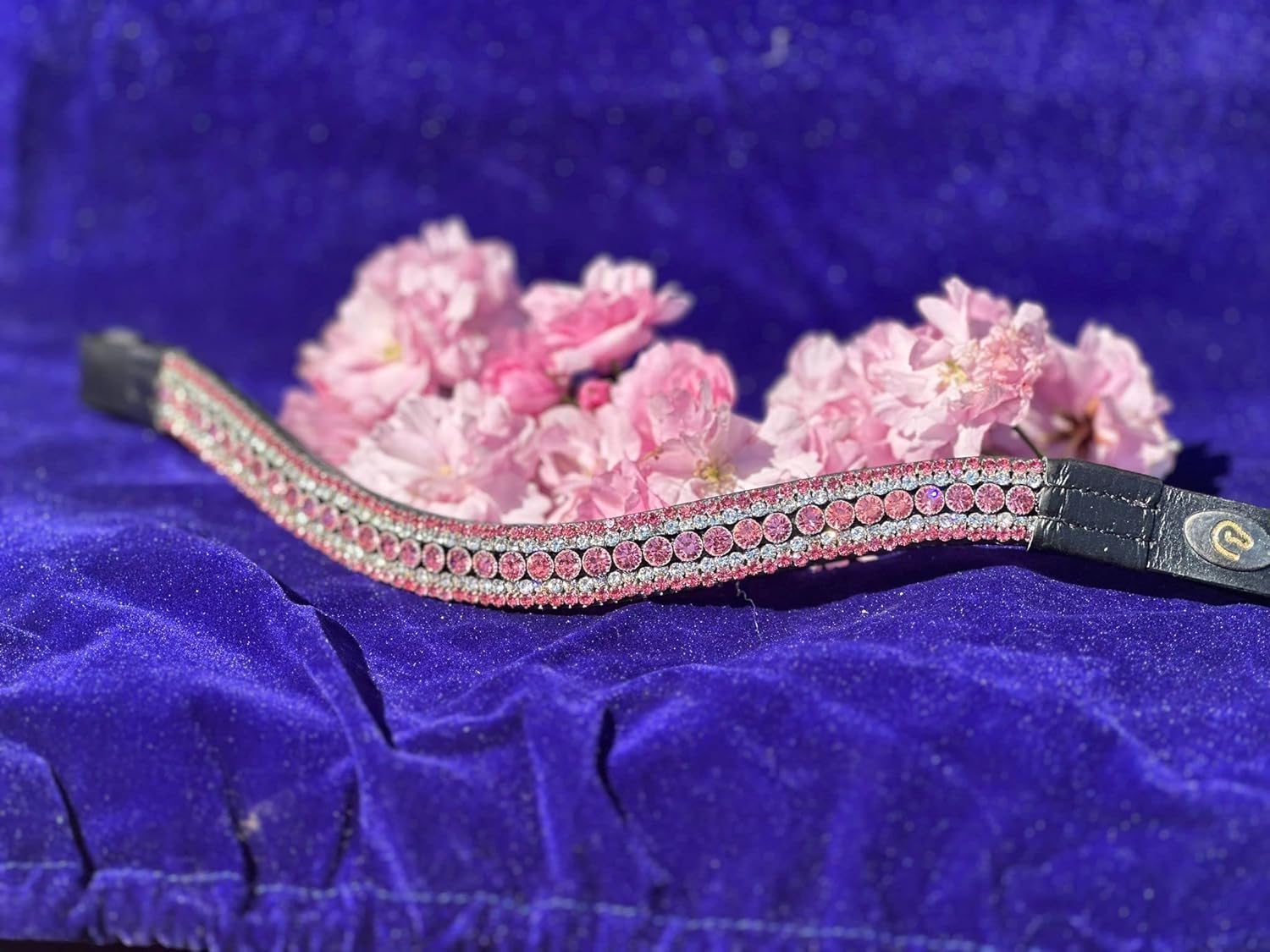 Equipride 5 Row Bling Curve Shape Crystal Browband Pink (Pony, Black)