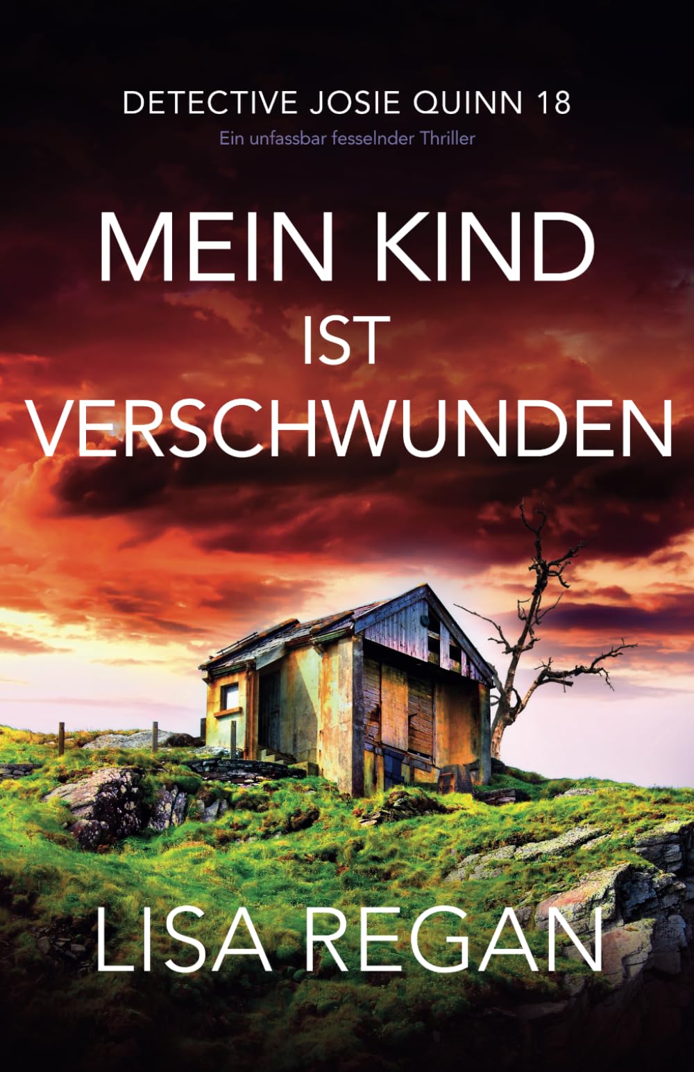 Mein Kind ist verschwunden: Ein unfassbar fesselnder Thriller (Detective Josie Quinn)