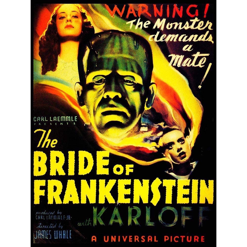 Wee Blue Coo Frankenstein Boris Karloff Monster Horror Whale USA Art Print Poster Wall Decor 12X16 Inch