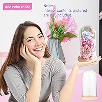 Vista 4 de Ivolador Campana de exhibición de vidrio de 7 x 4 pulgadas con base de madera maciza de gran tamaño para decoración de oficina y hogar