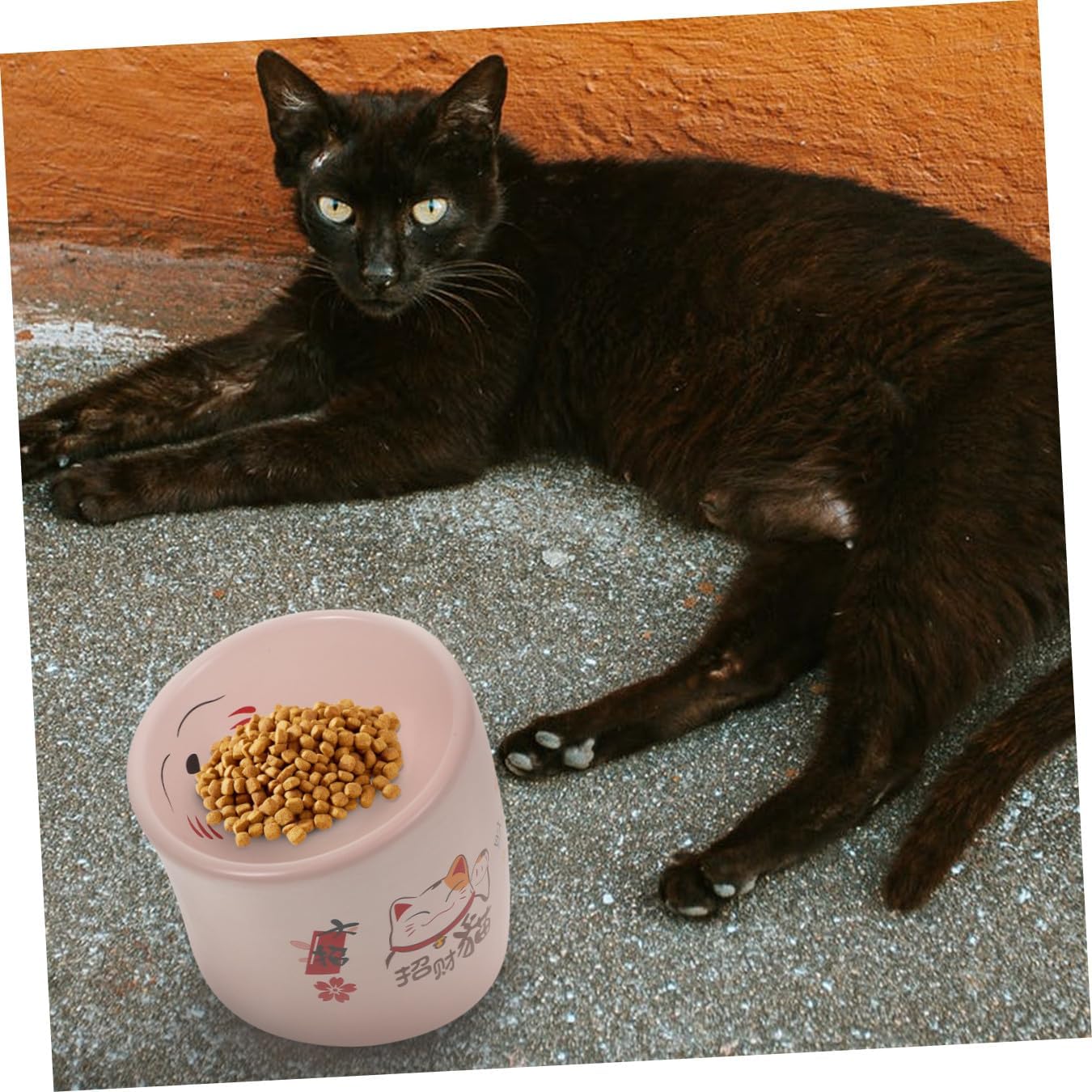 jojofuny Ceramic Cat Feeding Bowl Raised Non-Slip Pink Elevated Pet Water Dish with Anti-Spill Design for Cats and Small Dogs