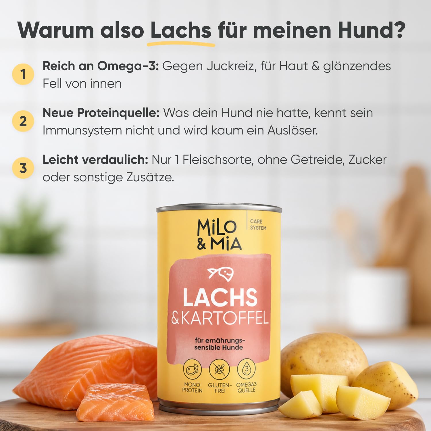 Hundefutter nass mit Lachs & Kartoffel, getreidefrei, 24 x 400 g