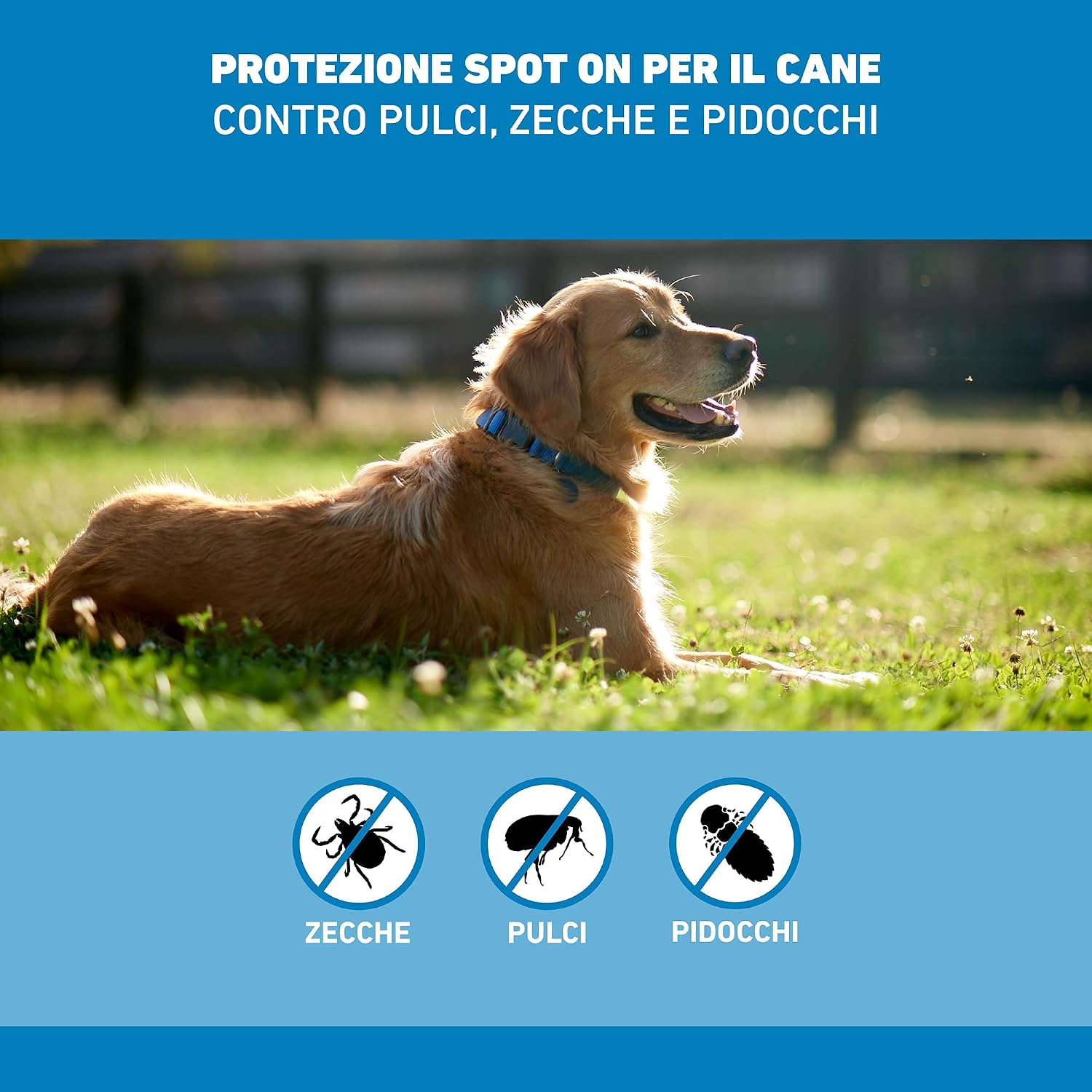 FRONTLINE Spot On, 3 Pipette, Cane Taglia L, 20-40 kg, Antiparassitario per Cani e Cuccioli di Lunga Durata, Protegge da Zecche, Pulci e Pidocchi