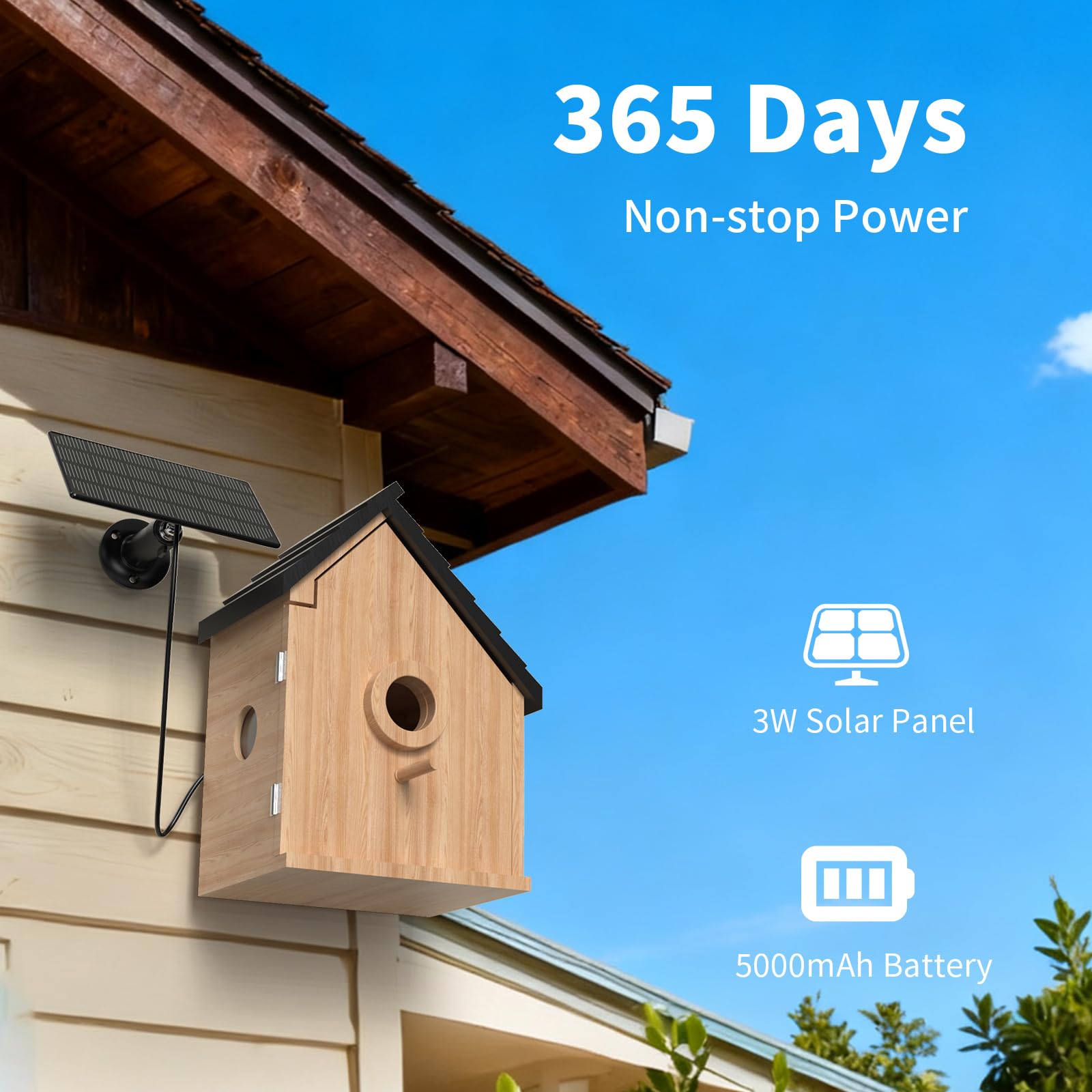 Solar Powered Bird Houses with Camera 2K HD Outdoor Feeder - Dettaglio