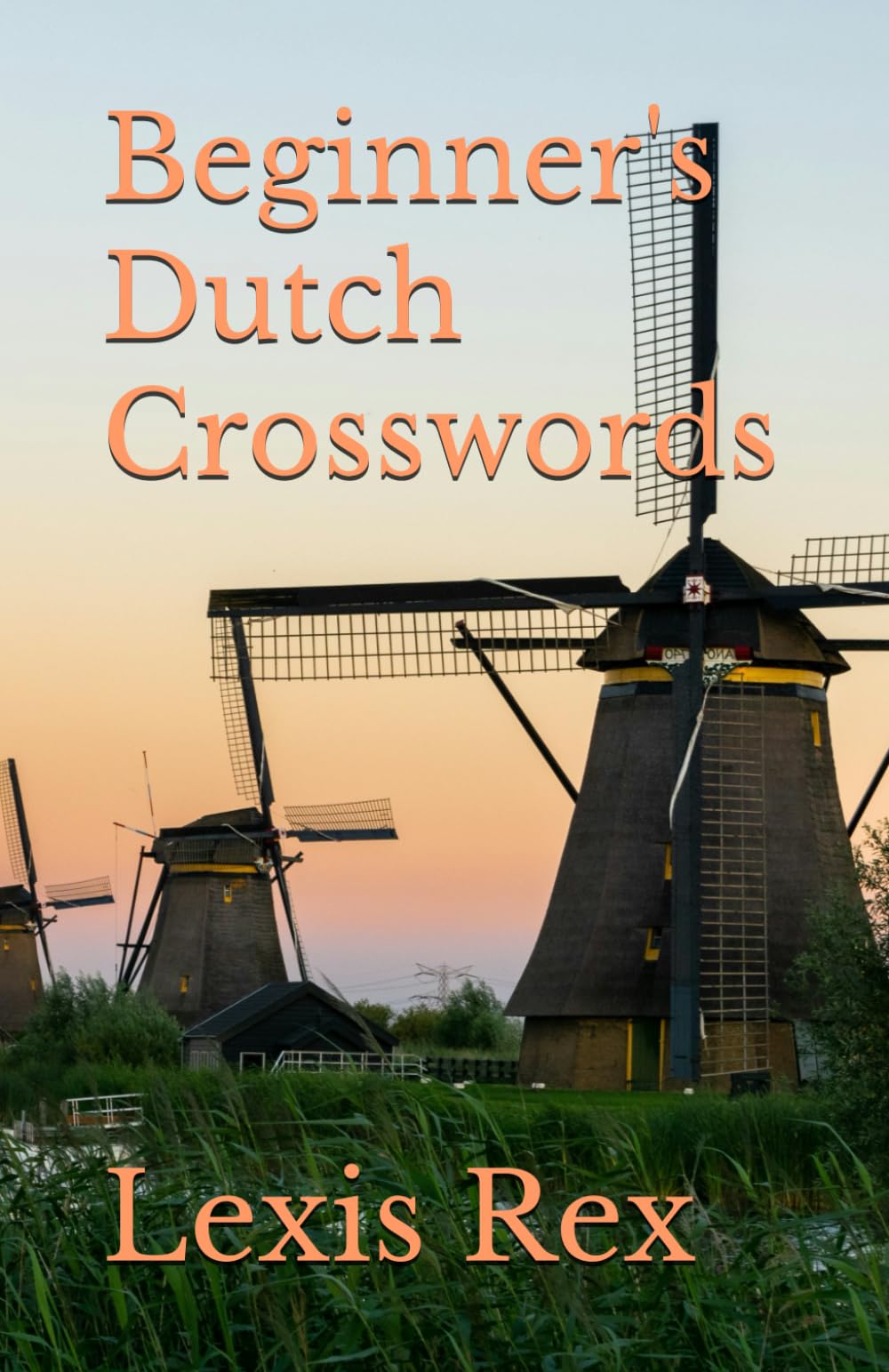 Beginner's Dutch Crosswords