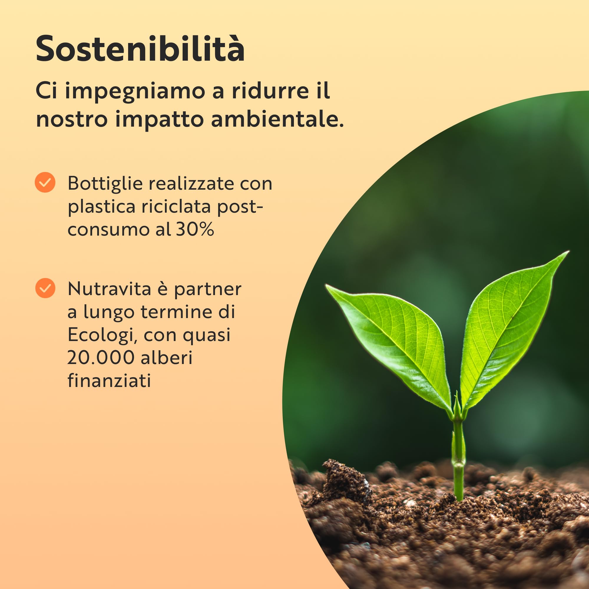 Nutravita Vitamina C 1000mg - 180 Vit C Compresse per 6 Mesi - Vitamina C Pura con Rosa Canina e Flavonoidi - Acido Ascorbico - 100% Vegan - Normale Funzione del Sistema Immunitario