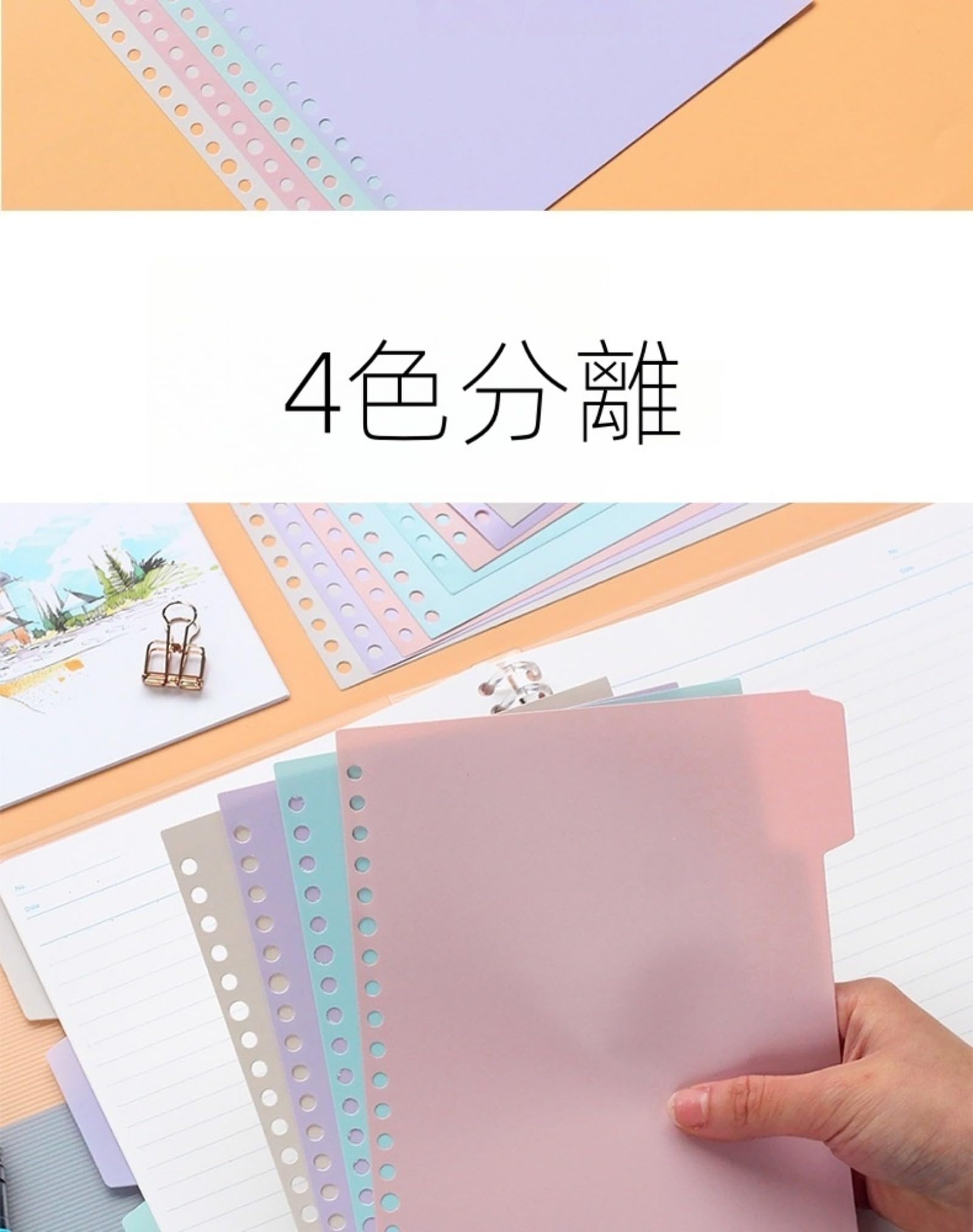 専用ページ　8枚 Amazon | a5 20穴 PP製 仕切りカード 8枚 A5 20穴/B5 26穴/A4 30穴 4色