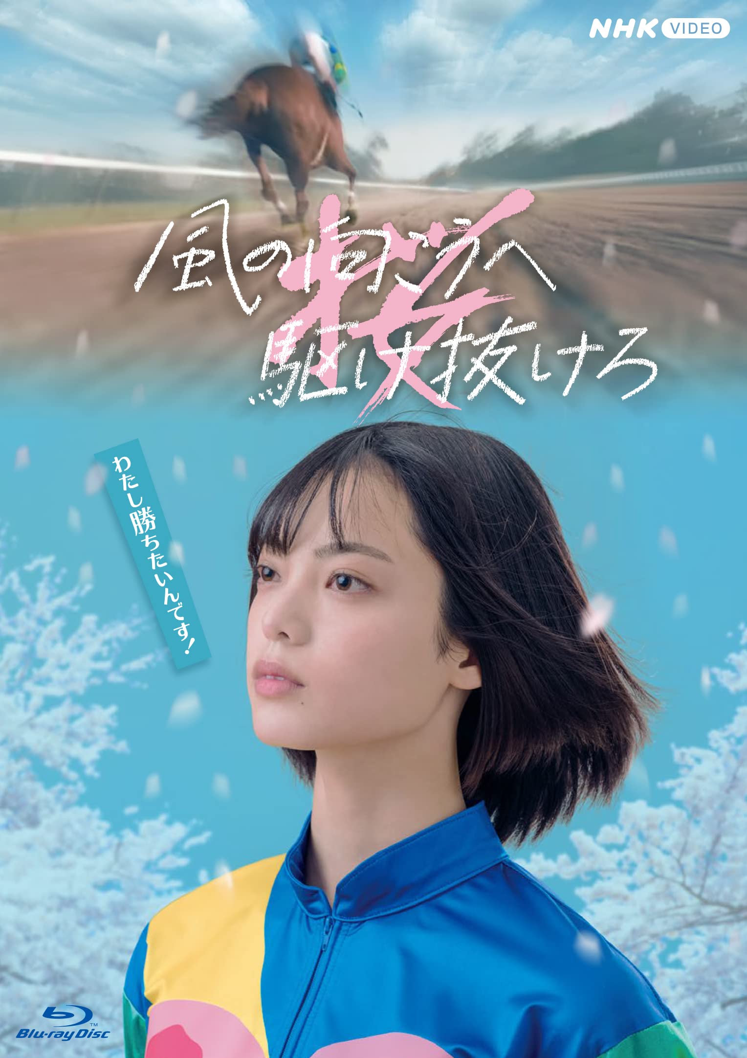 神技風水：2009年史さんセミナー編（トラさん解説付き）DVD４枚組 神技風水：2009年史さんセミナー編（トラさん解説付き）DVD4枚組