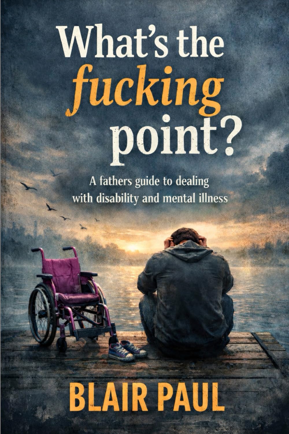 What’s the fucking point?: A father’s guide to dealing with disability and mental illness.