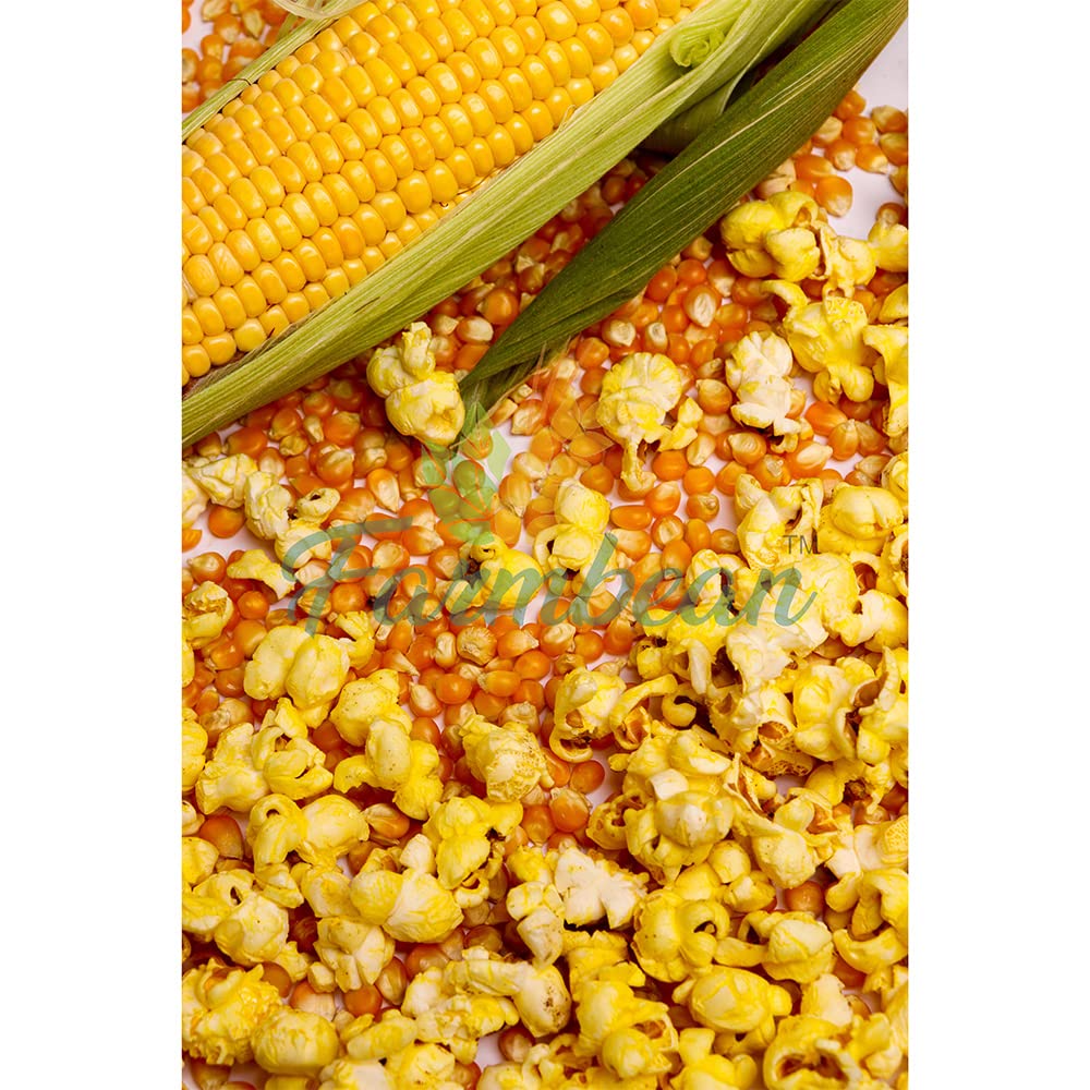 Farmbean Raw Popcorn for Eating, Healthy Seeds Unroasted Popcorn, Raw and Unsalted - 1 Kg - Image 3 thumbnail