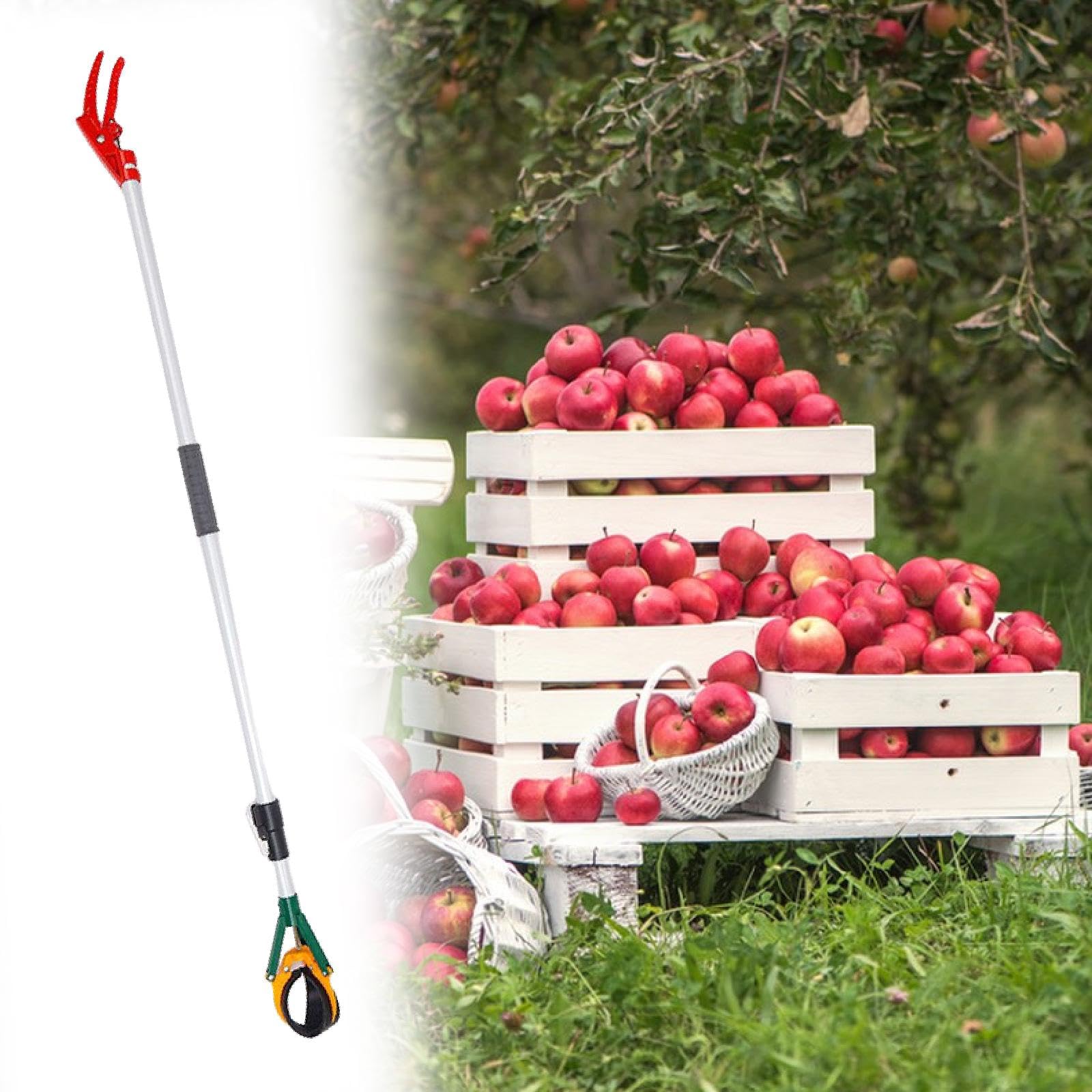 Cueille Télescopique 150Cm Acier