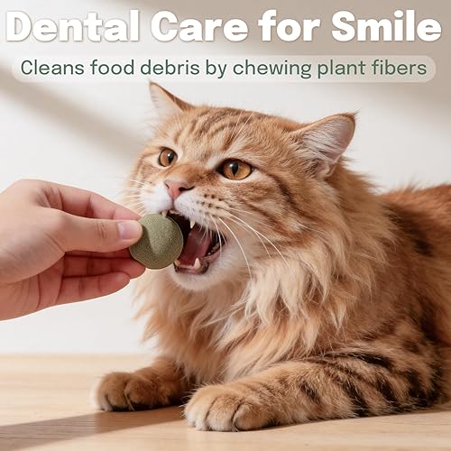 Miniatura 5 de Pelotas de nip para gatos, 4 bolas de hierba gatera y 2 bolas de frutas de agalla, juguetes de bolas de hierba gatera para gatos de interior